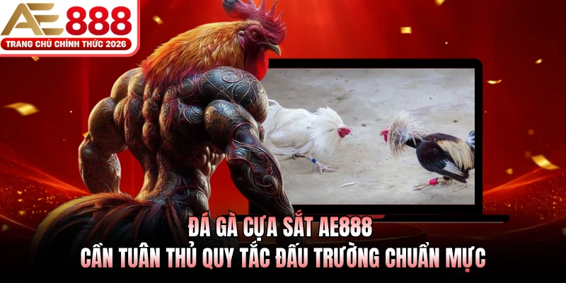 Đá gà cựa sắt AE888 cần tuân thủ quy tắc đấu trường chuẩn mực
