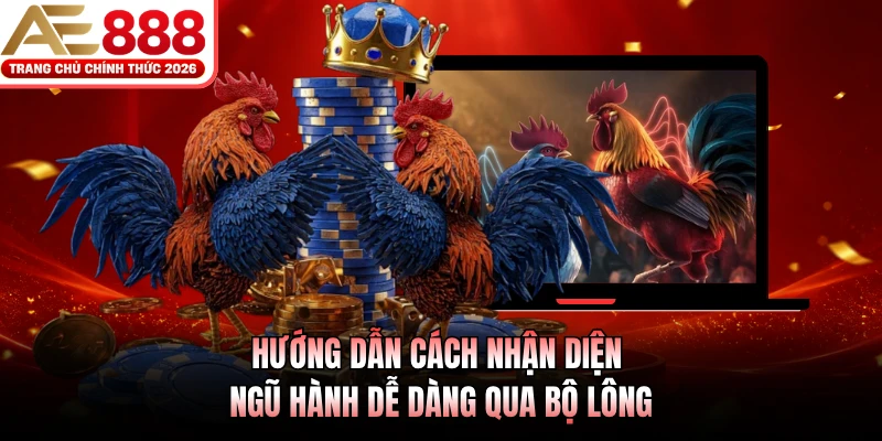 Hướng dẫn cách nhận diện ngũ hành dễ dàng qua bộ lông