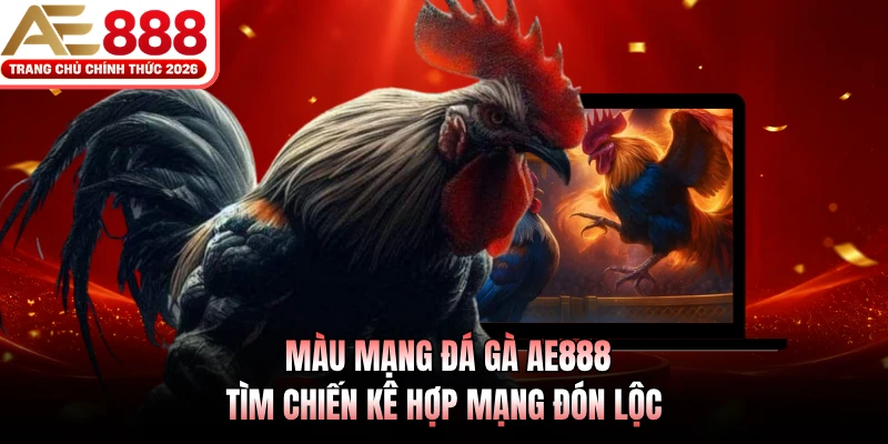 mau mang da ga ae888 tim chien ke hop mang don loc
